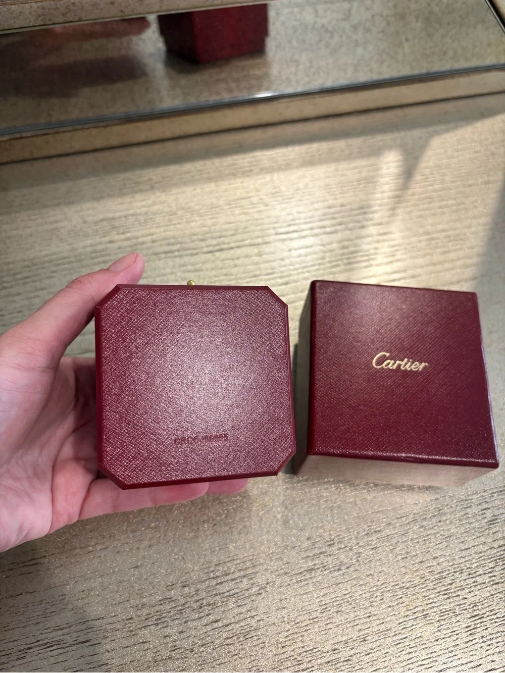 Cartier perfect clean